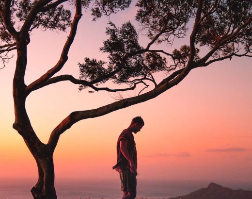 a photography of a man standing on a tree
