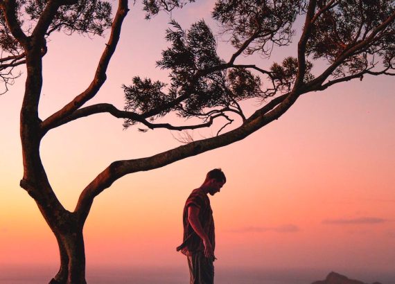 a photography of a man standing on a tree